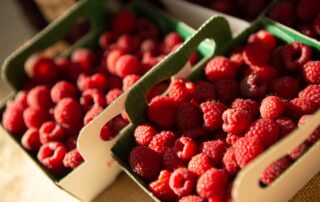 Barquettes de framboises