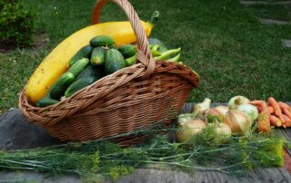 Panier de légumes