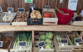 Fruits et légumes de saison Ardèche, Produits locaux directs producteurs à la saisonneraie à thueyts